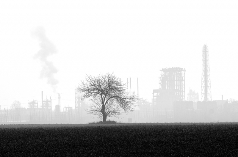 Clicca per l'immagine full size