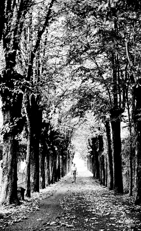 Clicca per l'immagine full size