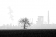 Nome File=La_natura.jpg
Dimensione File=209KB
Dimensioni=900x595
Data aggiunta=Gen 25, 2016 La_natura.jpg