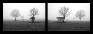 Nome File=Points_of_view_Mirror_at_the_mirrordittico_nebbia_Untitled-1.jpg
Dimensione File=183KB
Dimensioni=1000x375
Data aggiunta=Mar 26, 2021 Points_of_view_Mirror_at_the_mirrordittico_nebbia_Untitled-1.jpg