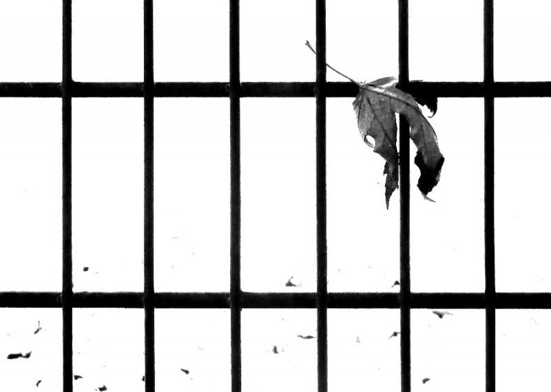 Clicca per l'immagine full size