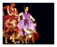 flamenco2_Visualizzazione_Web_-_Grande.jpg