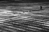 Nome File=Grafismo_agricolo.jpg
Dimensione File=373KB
Dimensioni=1024x685
Data aggiunta=Dic 20, 2008 Grafismo_agricolo.jpg
