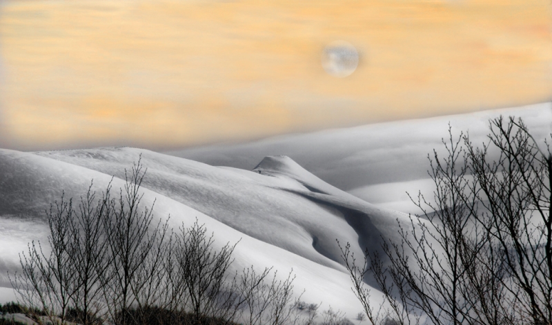 Clicca per l'immagine full size