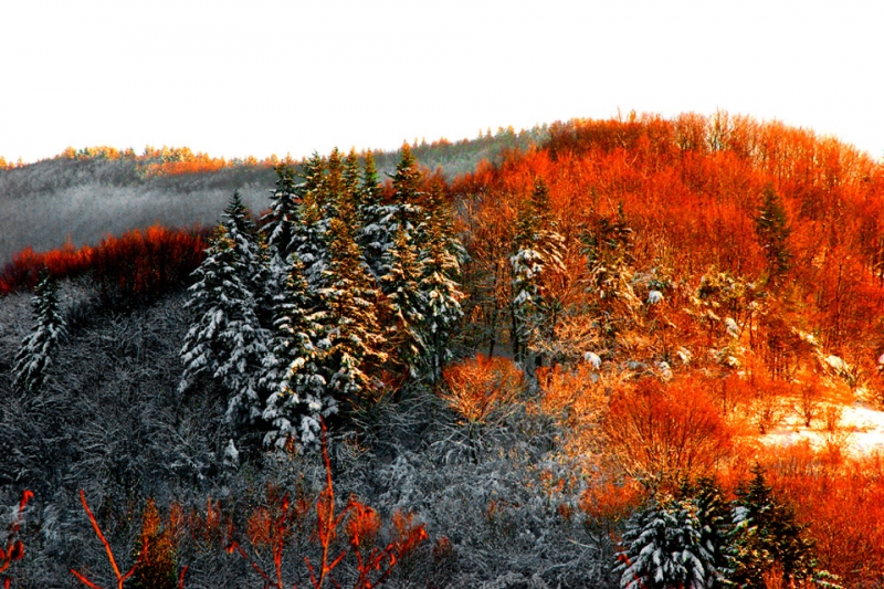 Clicca per l'immagine full size