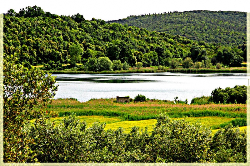 Clicca per l'immagine full size