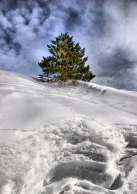 DPP_0015_F_MM.jpg DPP_0015_F_MM.jpg