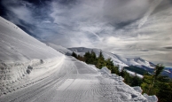DPP_0016_F_MM.jpg DPP_0016_F_MM.jpg
