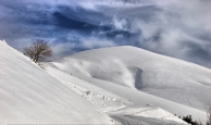 DPP_0018_F.jpg DPP_0018_F.jpg