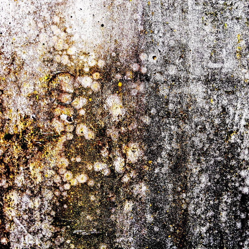 Clicca per l'immagine full size
