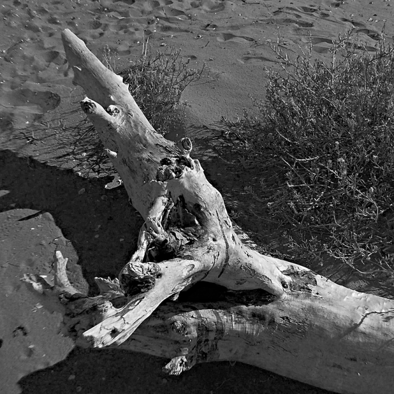 Clicca per l'immagine full size