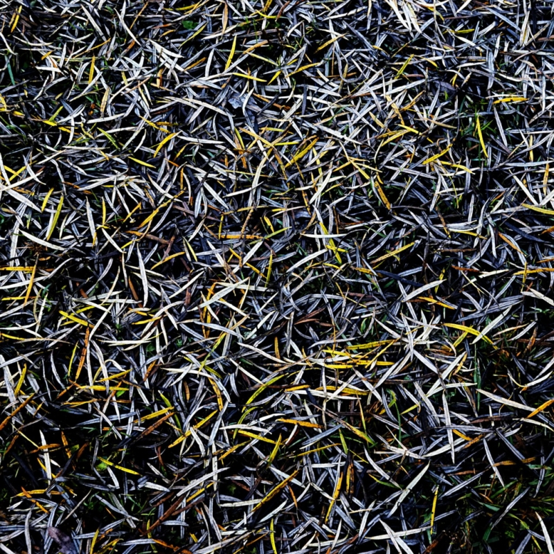 Clicca per l'immagine full size