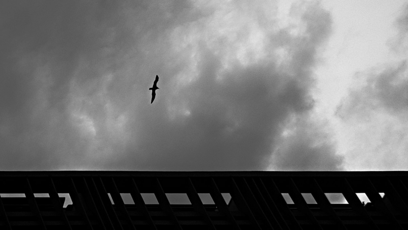 Clicca per l'immagine full size