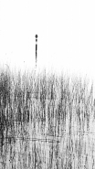 Astratto_con_graffi_e_intaglio_-_lungo_-_DSC_8620_vsmall.jpg
