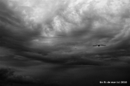 Nome File=Into_the_storm_-_DSC_1077_ufraw_gimp_curve_bw-hp5-red_usm_small.jpg
Dimensione File=83KB
Dimensioni=1024x686
Data aggiunta=Gen 05, 2011 Into_the_storm_-_DSC_1077_ufraw_gimp_curve_bw-hp5-red_usm_small.jpg