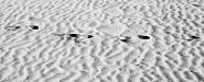 Nome File=Passi_-_DSC_9275_vsmall.jpg
Dimensione File=265KB
Dimensioni=1200x488
Data aggiunta=Feb 07, 2015 Passi_-_DSC_9275_vsmall.jpg