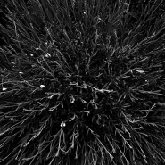 Nome File=Playin_Ansel_4_-_DSC_3189_vsmall.jpg
Dimensione File=374KB
Dimensioni=1024x1024
Data aggiunta=Mag 09, 2011 Playin_Ansel_4_-_DSC_3189_vsmall.jpg