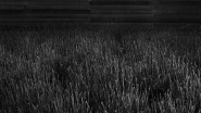 Nome File=Playin_Ansel_6_-_DSC_3188_vsmall.jpg
Dimensione File=239KB
Dimensioni=1024x576
Data aggiunta=Mag 13, 2011 Playin_Ansel_6_-_DSC_3188_vsmall.jpg