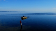 Rowing_-_DSC_1638_vsmall.jpg Rowing_-_DSC_1638_vsmall.jpg