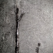 Nome File=SIdewalks_-_Broken_fingers_-_20190611_081054_900px.jpg
Dimensione File=332KB
Dimensioni=900x901
Data aggiunta=Giu 22, 2019 SIdewalks_-_Broken_fingers_-_20190611_081054_900px.jpg