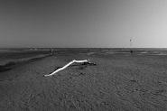 Nome File=Summer_on_a_solitary_beach_-_DSC_3963_1200px.jpg
Dimensione File=180KB
Dimensioni=1200x800
Data aggiunta=Gen 26, 2023 Summer_on_a_solitary_beach_-_DSC_3963_1200px.jpg