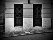 Trieste_tristia_1_-_DSCN6271_vsmall.jpg Trieste_tristia_1_-_DSCN6271_vsmall.jpg