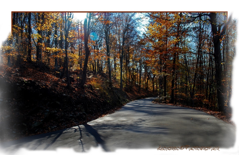 Clicca per l'immagine full size