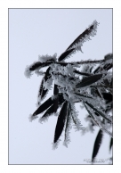 Nome File=Coperte_dal_freddo.jpg
Dimensione File=276KB
Dimensioni=701x1000
Data aggiunta=Gen 24, 2010 Coperte_dal_freddo.jpg