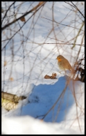 DSC_0008.jpg DSC_0008.jpg