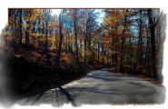 Nome File=La_strada_nell_autunno_(3).jpg
Dimensione File=381KB
Dimensioni=1000x650
Data aggiunta=Ott 27, 2010 La_strada_nell_autunno_(3).jpg