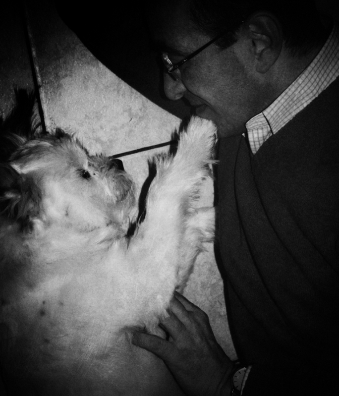 Clicca per l'immagine full size