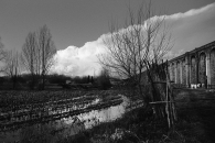 Nome File=Archi2.jpg
Dimensione File=258KB
Dimensioni=745x500
Data aggiunta=Gen 12, 2010 Archi2.jpg