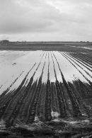 Nome File=Massaciuccoli4.jpg
Dimensione File=264KB
Dimensioni=500x750
Data aggiunta=Gen 13, 2010 Massaciuccoli4.jpg
