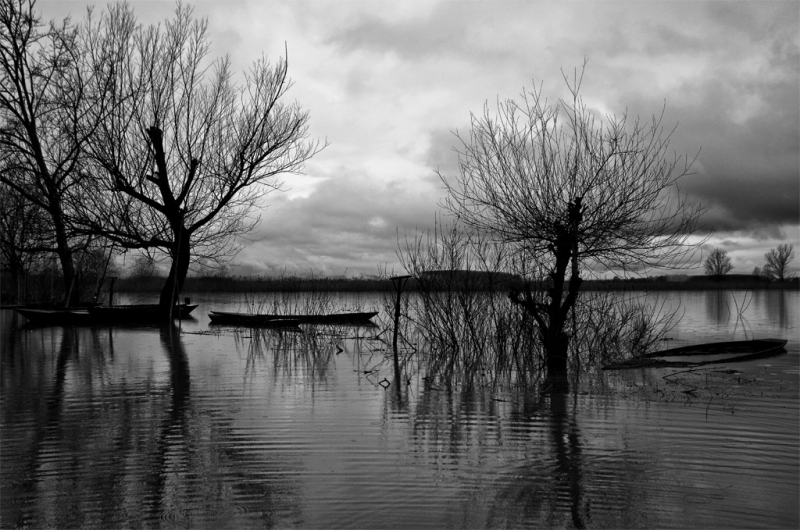 Clicca per l'immagine full size