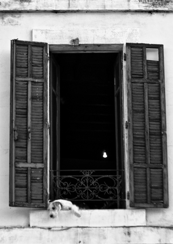 Clicca per l'immagine full size