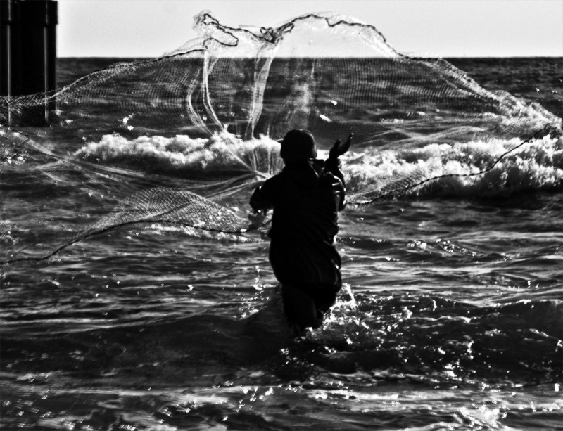 Clicca per l'immagine full size