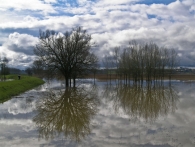 Lungo_il_fiume_e_sull_acqua_.jpg