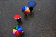 _84A9939_1200.jpg _84A9939_1200.jpg