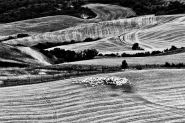 _MG_9072_850.jpg _MG_9072_850.jpg