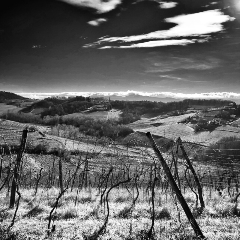 Clicca per l'immagine full size