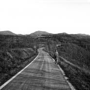Nome File=The_Road_Runner_web.jpg
Dimensione File=447KB
Dimensioni=800x800
Data aggiunta=Gen 14, 2015 The_Road_Runner_web.jpg