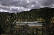 Nome File=Tiny_Lake_n_2.jpg
Dimensione File=493KB
Dimensioni=1024x680
Data aggiunta=Gen 28, 2012 Tiny_Lake_n_2.jpg