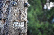 Nome File=_the_mask_web.jpg
Dimensione File=489KB
Dimensioni=1024x680
Data aggiunta=Ott 26, 2012 _the_mask_web.jpg