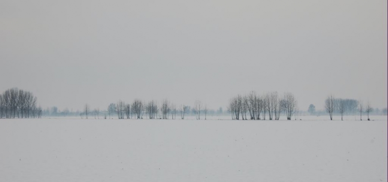 Clicca per l'immagine full size