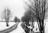 Nome File=inverno_bn.jpg
Dimensione File=295KB
Dimensioni=1024x703
Data aggiunta=Gen 12, 2011 inverno_bn.jpg