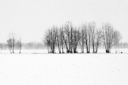 Nome File=minimal~0.jpg
Dimensione File=95KB
Dimensioni=1024x681
Data aggiunta=Gen 10, 2011 minimal~0.jpg