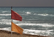 L1000001~5.jpg