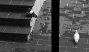 L1000005~10.jpg L1000005~10.jpg