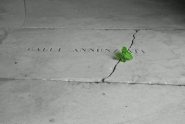 L1000015~5.jpg L1000015~5.jpg