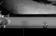 _DSC0006~2.jpg _DSC0006~2.jpg